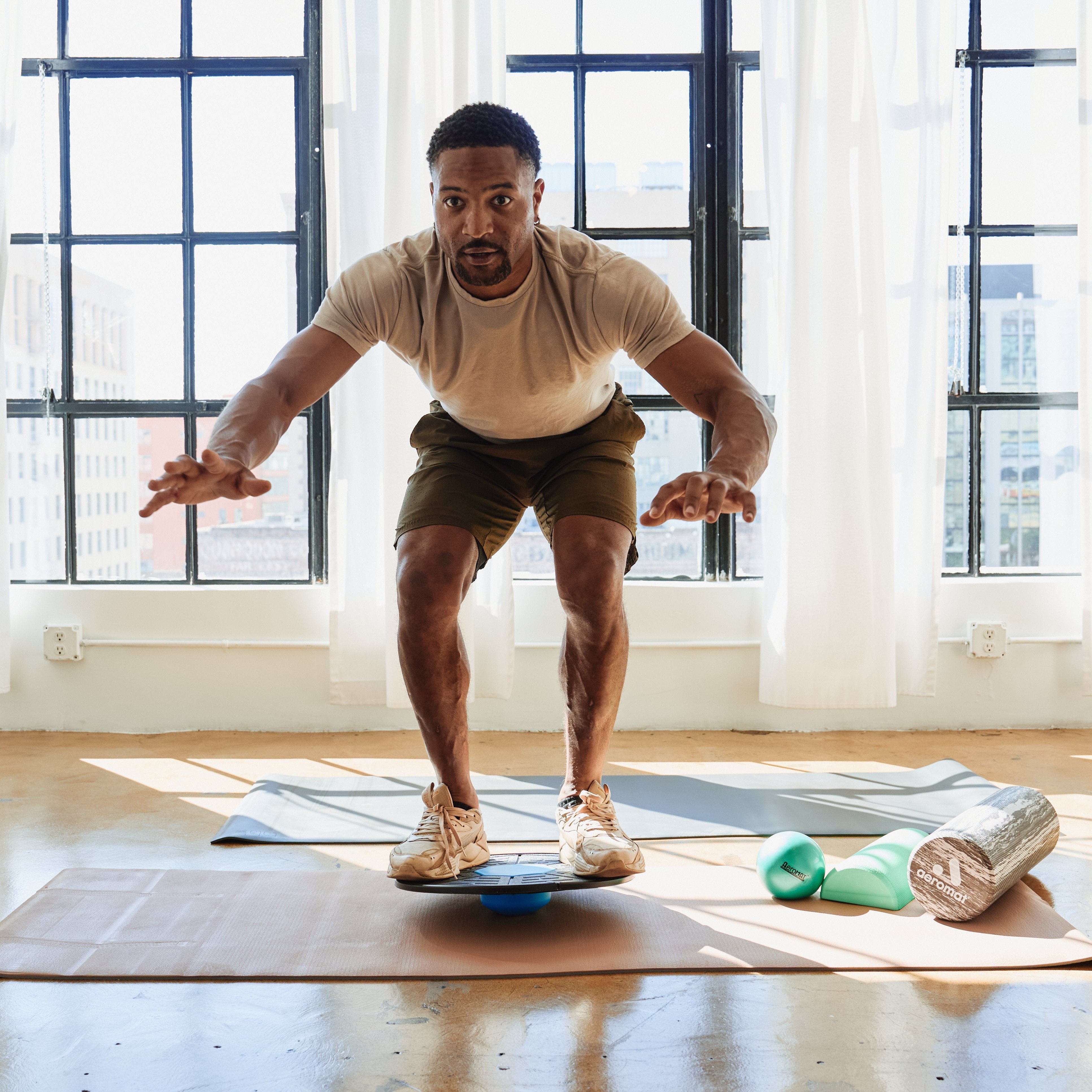 Physical Therapy Fitterfirst Professional Balance Board Physical