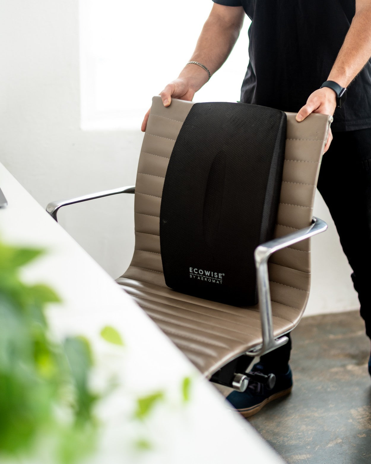 seat cushion and chair back support