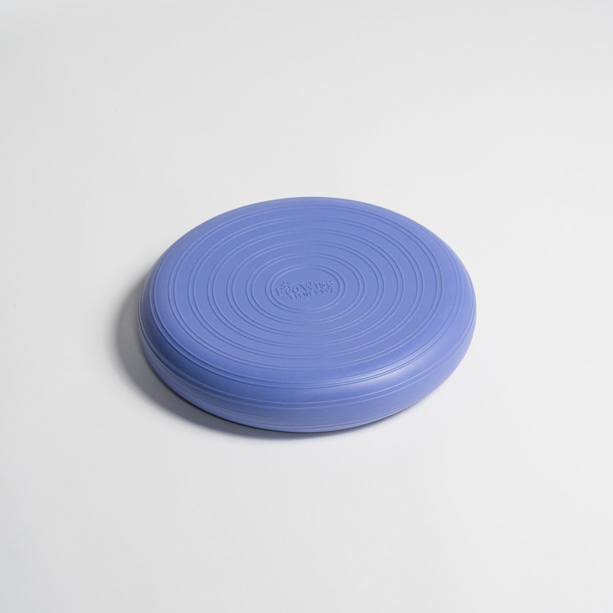 Dyna Disc EcoWise Deluxe Balance Disc Cushion – Aeromats
