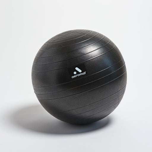 Aeromat Deluxe Ball Chair