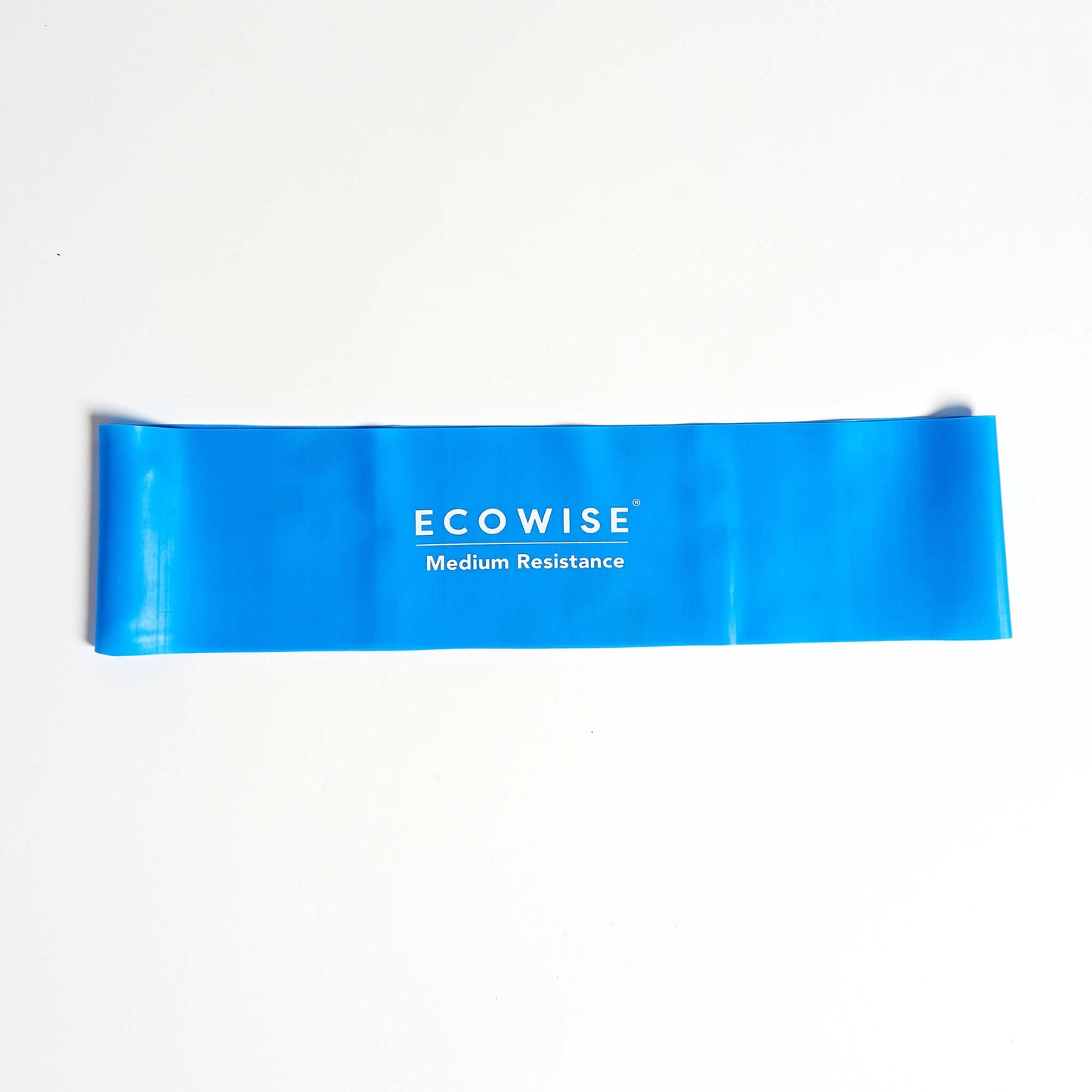 Ecowise TPE Resistance Loop